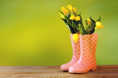 Credit Union Consultancy Services May image of wellington boots filled with daffodils