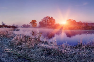 Credit union November newsletter image of a frosty morning