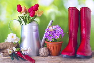 Credit Unions June Newsletter image of a watering can, red boots and some flowers