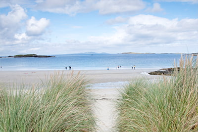 Credit Union Consultancy Services Newsletter August image of a beach