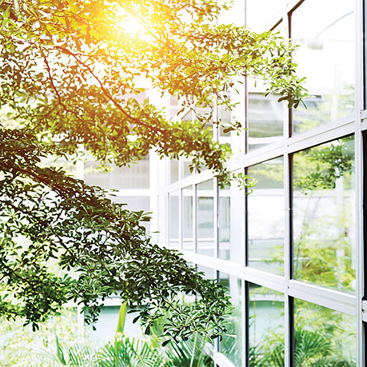 Probate Services image of a tree beside an office block