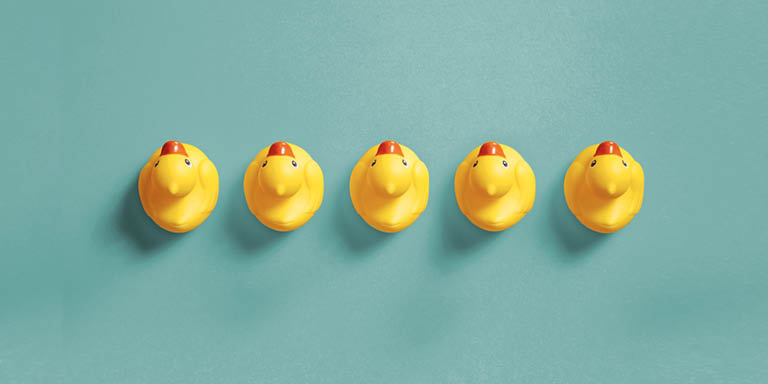 Rubber duckys againts a teal background