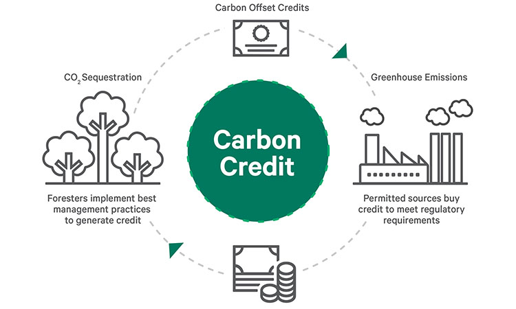carbon credits price chart